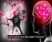 In the last 30 seconds before death, the brain experiences a surge of activity, possibly due to a flood of neurotransmitters as it tries to make sense of the impending demise. Memories, emotions, and sensations may flash rapidly, creating a surreal and intense final experience. Eventually, as oxygen levels plummet and neurons cease firing, consciousness fades into oblivion.