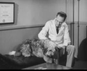 Don Knotts pet therapist Gaines dog food TV commercial