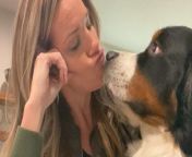 Very needy Bernese mountain dog figures out a surefire way to get Mom&#39;s attention — and makes the funniest sound when he&#39;s ignored ❤️