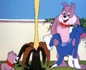 Tom And Jerry - 076 - That&#39;s My Pup (1953) S1950e30