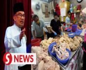 The current price of essential items such as chicken, eggs and cooking oil is still low and stable compared to when it was under the previous administration, says Datuk Seri Anwar Ibrahim.&#60;br/&#62;&#60;br/&#62;Yet, the Prime Minister said, there are still quarters who criticise the Madani government as if it has not done anything to ease the cost of living for the people.&#60;br/&#62;&#60;br/&#62;Read more at https://shorturl.at/ejpM2&#60;br/&#62;&#60;br/&#62;WATCH MORE: https://thestartv.com/c/news&#60;br/&#62;SUBSCRIBE: https://cutt.ly/TheStar&#60;br/&#62;LIKE: https://fb.com/TheStarOnline&#60;br/&#62;