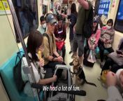 On Taipei&#39;s metro, pets usually have to travel in strollers, but on March 31st they were allowed to roam around and stretch their paws, as many pet owners hope to &#92;